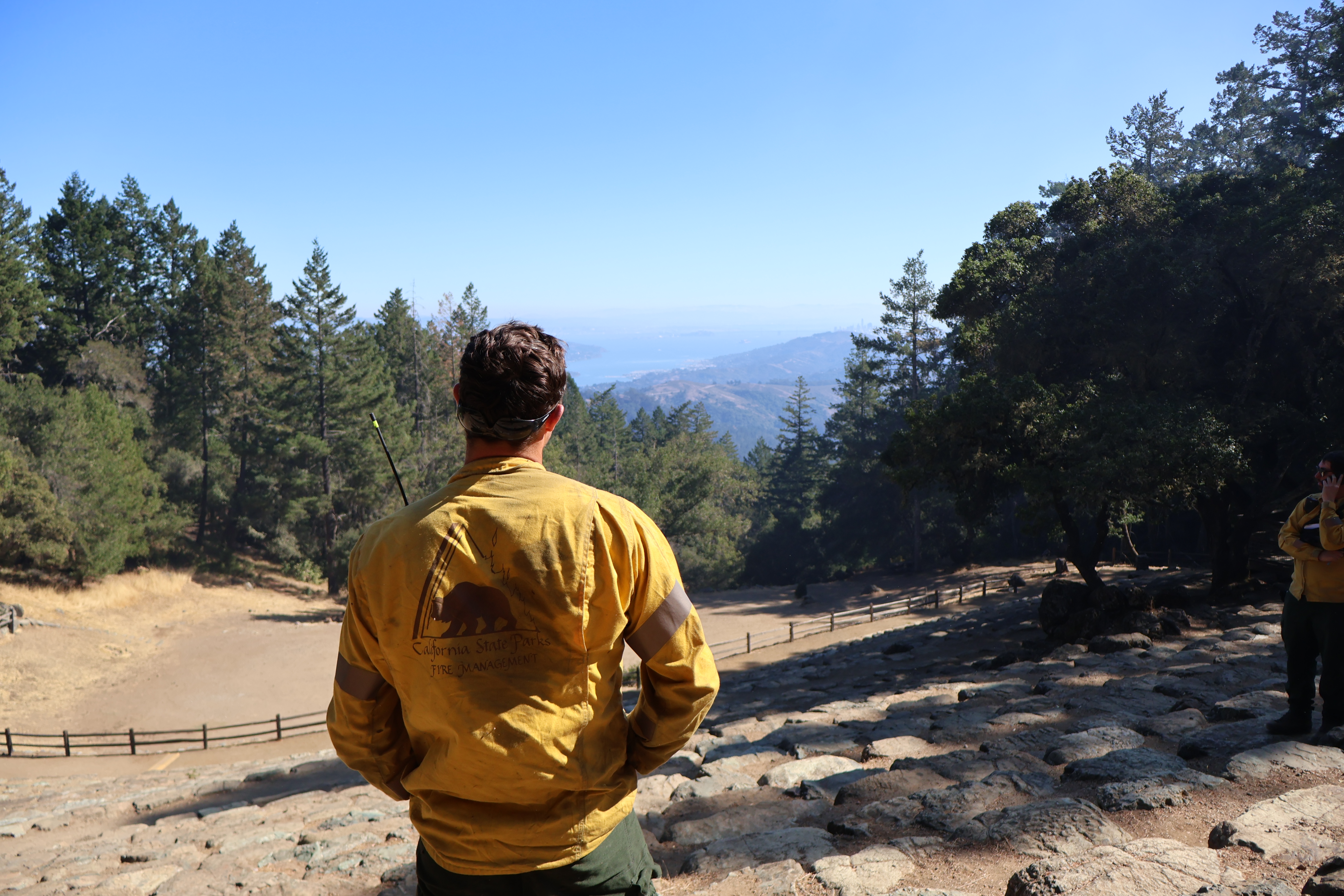 View from Mount Tam